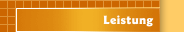 Leistung